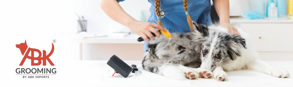 ABK Grooming – A Professional Pet Groomers Best Friend