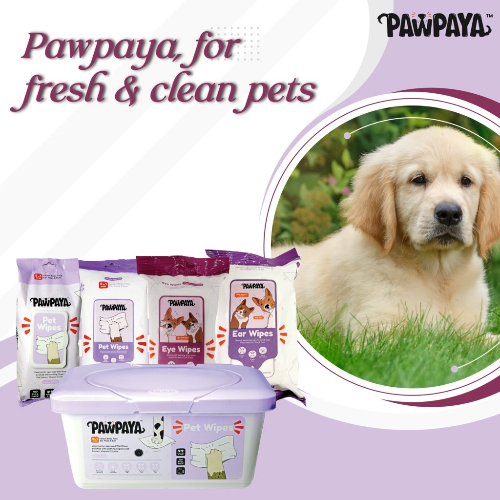 ABK's Pet care with Pawpaya Pet Wipes