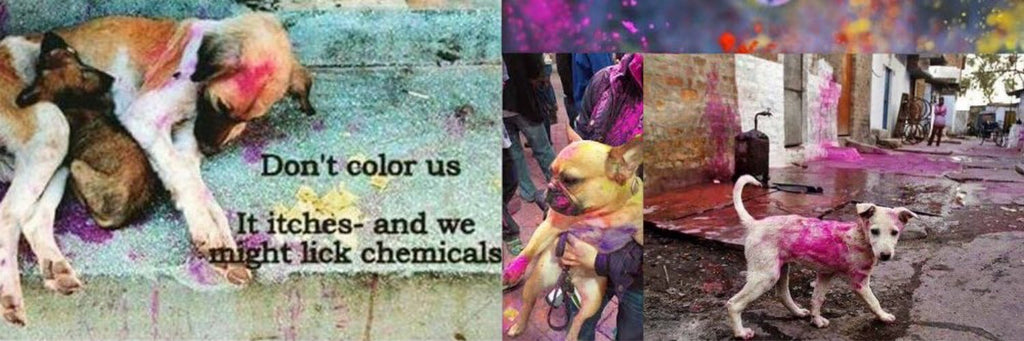 Don’t throw colour on animals -Have a Cruelty-Free Holi :) !!