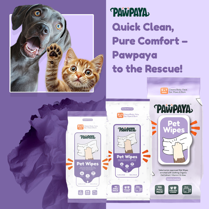 Pawpaya Pet Wipes Made for All Cats and Dogs | 100 Pull Pack