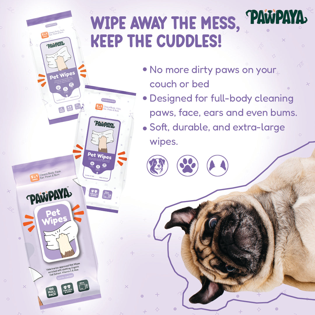 Pawpaya Pet Wipes Made for All Cats and Dogs | 100 Pull Pack