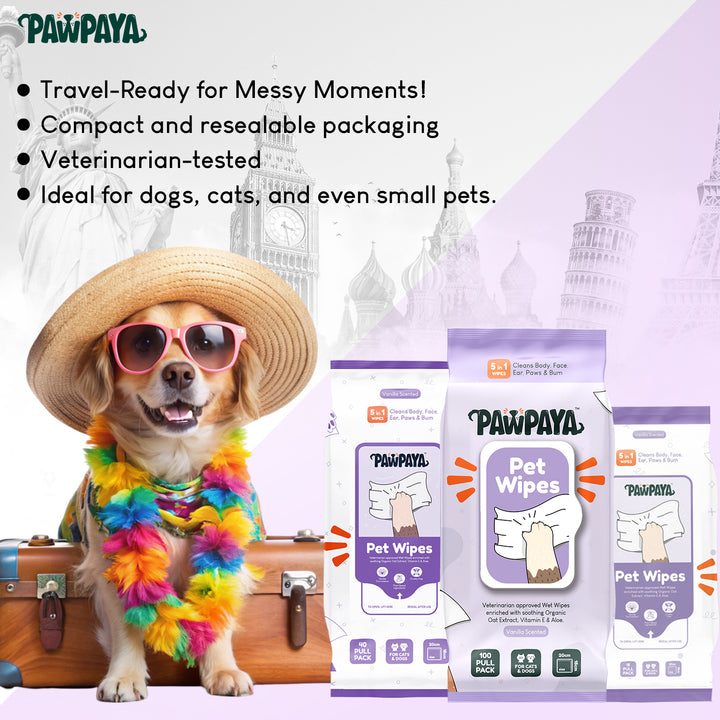 Pawpaya Pet Wipes Made for All Cats and Dogs | 100 Pull Pack