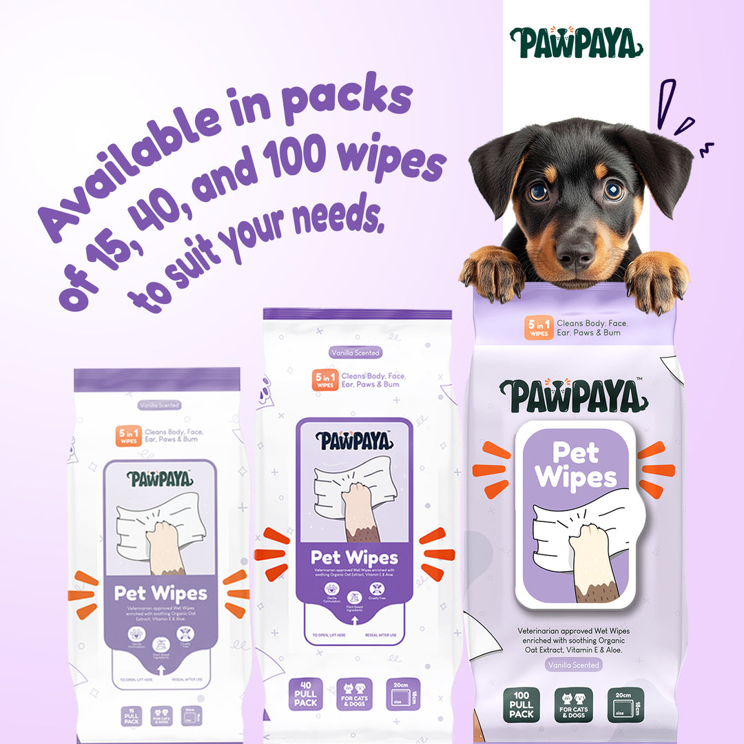 Pawpaya Pet Wipes Made for All Cats and Dogs | 100 Pull Pack