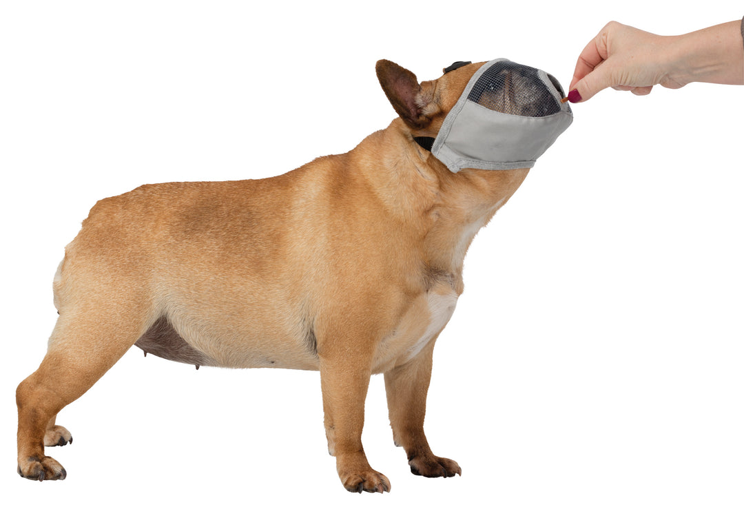 TRIXIE Muzzle For Short-Nosed Breeds