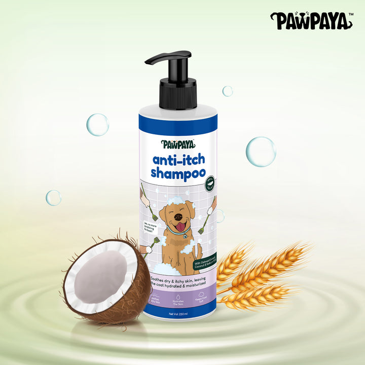 cheap shampoo, discount shampoo, gentle shampoo, daily shampoo, deep cleansing shampoo, nourishing shampoo, revitalizing shampoo, repairing shampoo, smoothing shampoo, frizz control shampoo, curl enhancing shampoo, texturizing shampoo, baby shampoo, kids shampoo, pet shampoo, flea shampoo, whitening shampoo, brightening shampoo, odor eliminating shampoo, waterless shampoo, dry shampoo, shampoo bar, pet shampoo, dog shampoo, cat shampoo, small animal shampoo, bird shampoo, best pet shampoo, top pet shampoo,