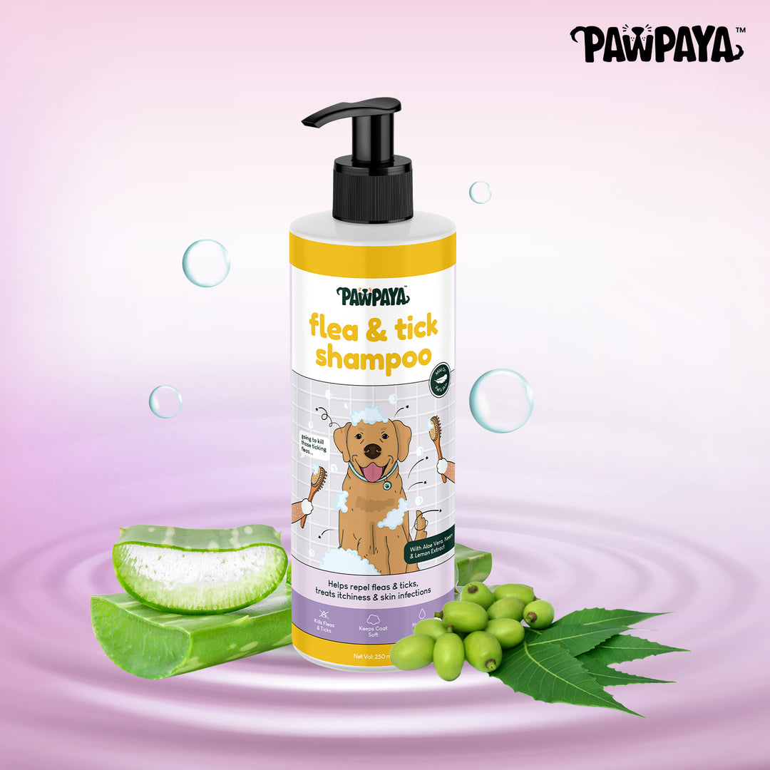 whitening pet shampoo for pets, brightening pet shampoo, oatmeal pet shampoo, tear-free pet shampoo, waterless pet shampoo for pets, dry pet shampoo, long hair pet shampoo, short hair pet shampoo, thick coat pet shampoo, thin coat pet shampoo, shedding control pet shampoo, anti-itch pet shampoo, hot spot shampoo for pets, conditioning pet shampoo, gentle pet shampoo, vet recommended pet shampoo, grooming shampoo for pets, professional pet shampoo