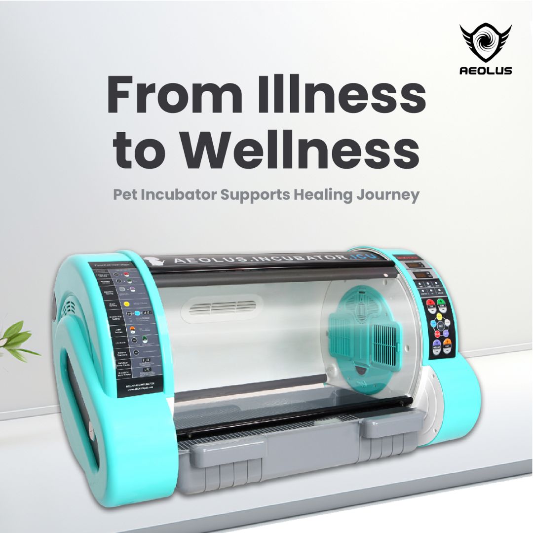 digital pet incubator, manual pet incubator, large pet incubator, small pet incubator, incubator for newborn pets, incubator for sick pets, incubator for injured pets, pet recovery incubator, pet critical care incubator, pet oxygen cage, pet oxygen therapy cage, pet humidity control cage, pet temperature control cage, pet incubator with oxygen port, pet incubator with nebulizer port