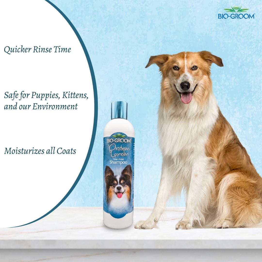 what shampoo does petco use for grooming, what shampoo does petsmart use for grooming, bio groom shampoo, bio groom shampoo cat, bio groom super white shampoo, dog Biogroom shampoo, bio groom dog shampoo, bio groom dog shampoo reviews, bio groom waterless dog shampoo, bio groom super white dog shampoo, bio groom super whitening dog shampoo, bio groom ultra black dog shampoo, bio groom flea & tick dog shampoo