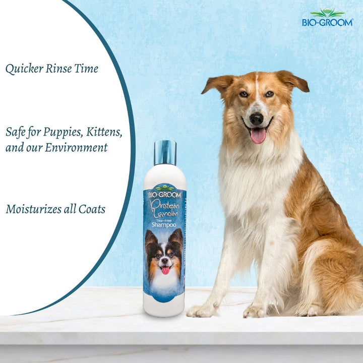 what shampoo does petco use for grooming, what shampoo does petsmart use for grooming, bio groom shampoo, bio groom shampoo cat, bio groom super white shampoo, dog Biogroom shampoo, bio groom dog shampoo, bio groom dog shampoo reviews, bio groom waterless dog shampoo, bio groom super white dog shampoo, bio groom super whitening dog shampoo, bio groom ultra black dog shampoo, bio groom flea & tick dog shampoo