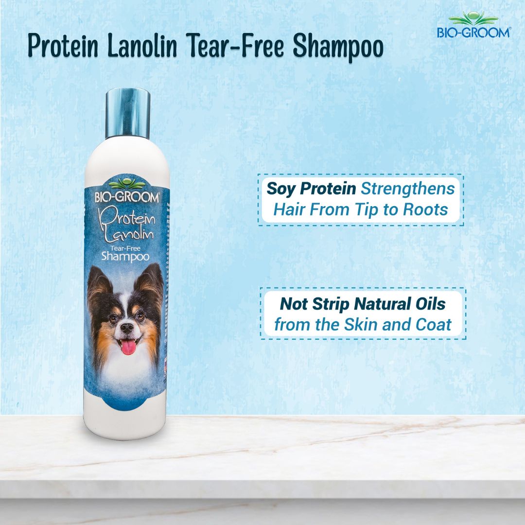 bio-groom natural oatmeal dog shampoo, bio groom oatmeal dog shampoo, bio groom black.dog.shampoo, cat Biogroom shampoo, bio groom cat shampoo, bio groom purrfect white cat shampoo, do pet groomers groom cats, do pet groomers wash cats, can i wash cat with shampoo, cat shampoo vs human shampoo, how do groomers groom a cat, bio groom shampoo