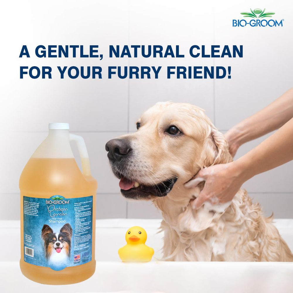 salon shampoo, cheap shampoo, discount shampoo, gentle shampoo, daily shampoo, deep cleansing shampoo, nourishing shampoo, revitalizing shampoo, repairing shampoo, smoothing shampoo, frizz control shampoo, curl enhancing shampoo, texturizing shampoo, baby shampoo, kids shampoo, pet shampoo, flea shampoo, whitening shampoo, brightening shampoo, odor eliminating shampoo, waterless shampoo, dry shampoo, shampoo bar, pet shampoo, dog shampoo