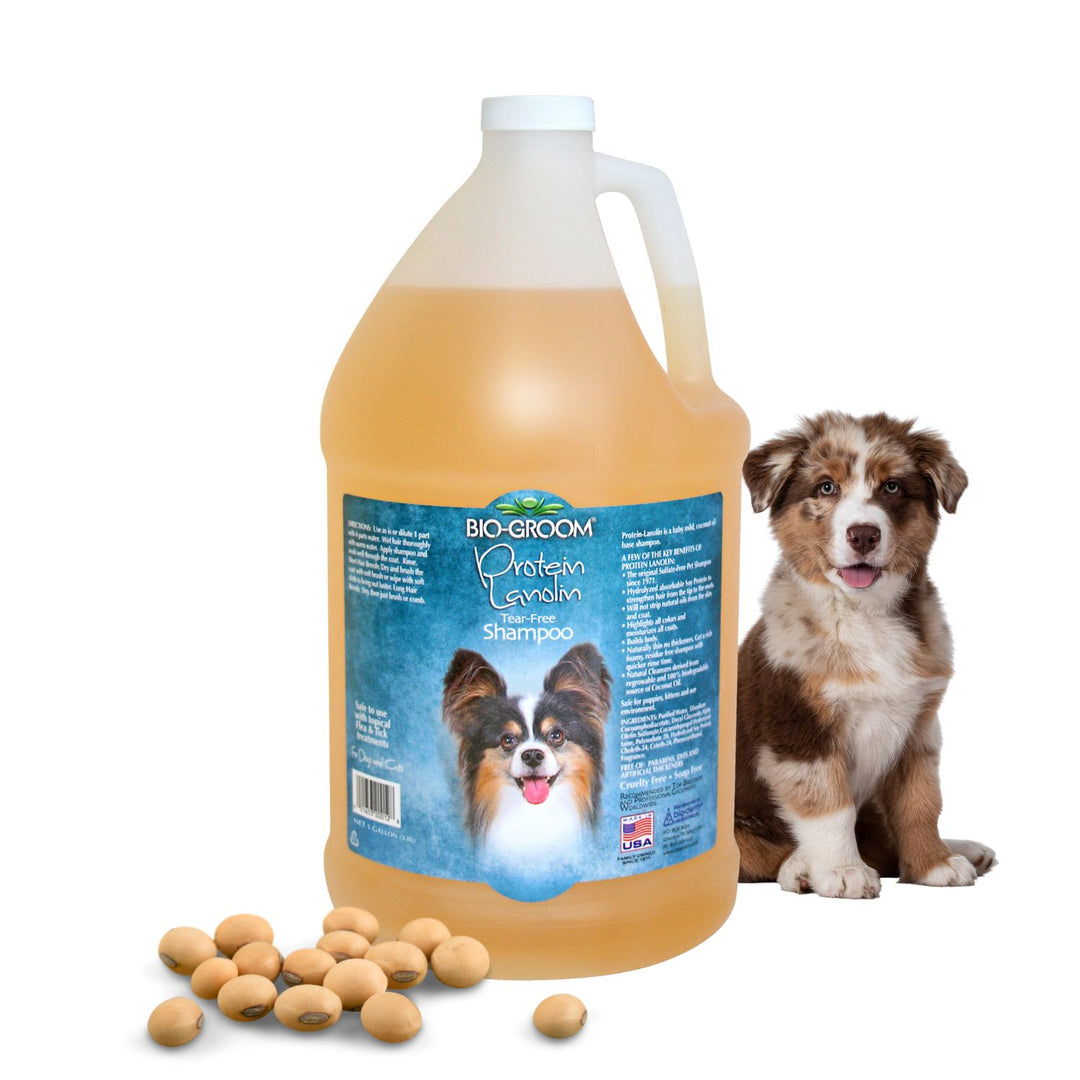 Shampoo, hair shampoo, best shampoo, top shampoo, buy shampoo, shampoo online, shampoo for sale, natural shampoo, organic shampoo, sulfate-free shampoo, moisturizing shampoo, clarifying shampoo, volumizing shampoo, strengthening shampoo, color-safe shampoo, shampoo for oily hair, shampoo for dry hair, shampoo for fine hair, shampoo for thick hair, shampoo for damaged hair, anti-dandruff shampoo, itchy scalp shampoo, sensitive scalp shampoo, hypoallergenic shampoo, medicated shampoo, professional shampoo