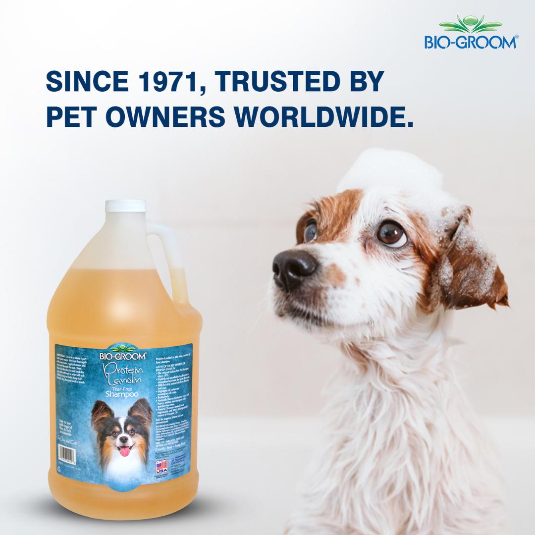 thick coat pet shampoo, thin coat pet shampoo, shedding control pet shampoo, anti-itch pet shampoo, hot spot shampoo for pets, conditioning pet shampoo, gentle pet shampoo, vet recommended pet shampoo, grooming shampoo for pets, professional pet shampoo, cheap pet shampoo, discount pet shampoo, scented pet shampoo, unscented pet shampoo, pet bath products, pet grooming supplies, animal shampoo, canine shampoo, feline shampoo, small animal grooming, bird bath cleaner