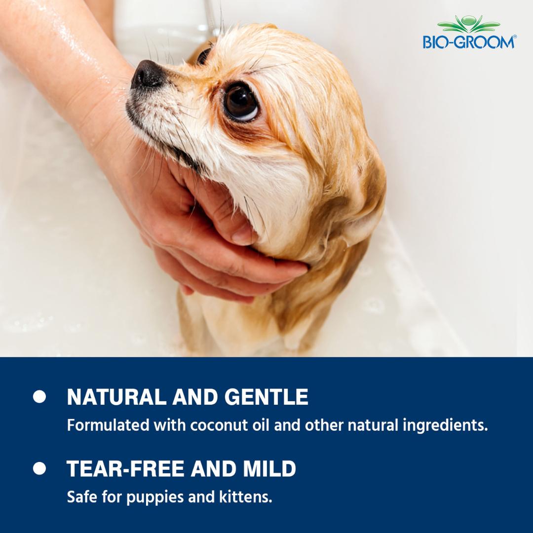 cat shampoo, small animal shampoo, bird shampoo, best pet shampoo, top pet shampoo, buy pet shampoo, pet shampoo online, pet shampoo for sale, natural pet shampoo, organic pet shampoo, hypoallergenic pet shampoo, flea and tick shampoo for pets, medicated pet shampoo, puppy shampoo, kitten shampoo, sensitive skin pet shampoo, deodorizing pet shampoo, moisturizing pet shampoo, whitening pet shampoo for pets, brightening pet shampoo, oatmeal pet shampoo