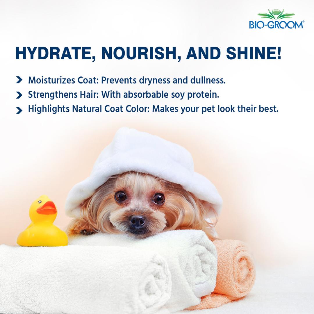 tear-free pet shampoo, waterless pet shampoo for pets, dry pet shampoo, long hair pet shampoo, short hair pet shampoo, thick coat pet shampoo, thin coat pet shampoo, shedding control pet shampoo, anti-itch pet shampoo, hot spot shampoo for pets, conditioning pet shampoo, gentle pet shampoo, vet recommended pet shampoo, grooming shampoo for pets, professional pet shampoo, cheap pet shampoo, discount pet shampoo, scented pet shampoo, unscented pet shampoo, pet bath products, pet grooming supplies,