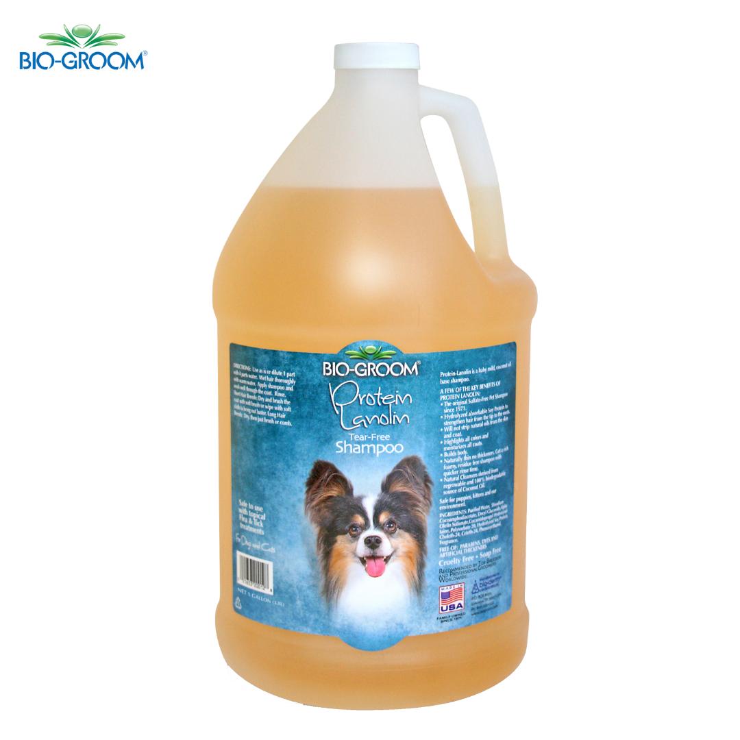 shampoo for oily hair, shampoo for dry hair, shampoo for fine hair, shampoo for thick hair, shampoo for damaged hair, anti-dandruff shampoo, itchy scalp shampoo, sensitive scalp shampoo, hypoallergenic shampoo, medicated shampoo, professional shampoo, salon shampoo, cheap shampoo, discount shampoo, gentle shampoo, daily shampoo, deep cleansing shampoo, nourishing shampoo, revitalizing shampoo, repairing shampoo, smoothing shampoo, frizz control shampoo