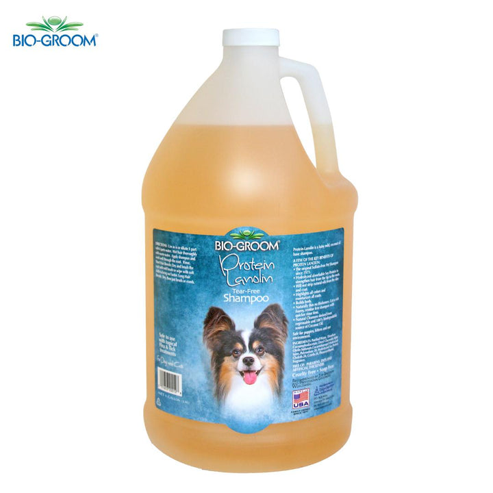 shampoo for oily hair, shampoo for dry hair, shampoo for fine hair, shampoo for thick hair, shampoo for damaged hair, anti-dandruff shampoo, itchy scalp shampoo, sensitive scalp shampoo, hypoallergenic shampoo, medicated shampoo, professional shampoo, salon shampoo, cheap shampoo, discount shampoo, gentle shampoo, daily shampoo, deep cleansing shampoo, nourishing shampoo, revitalizing shampoo, repairing shampoo, smoothing shampoo, frizz control shampoo