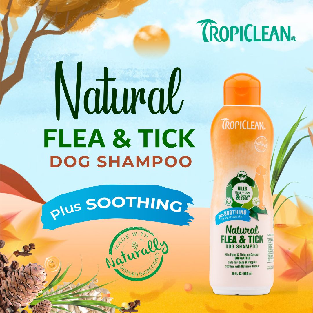 Tropiclean Natural Flea & Tick Shampoo For Pets With Plus Soothing