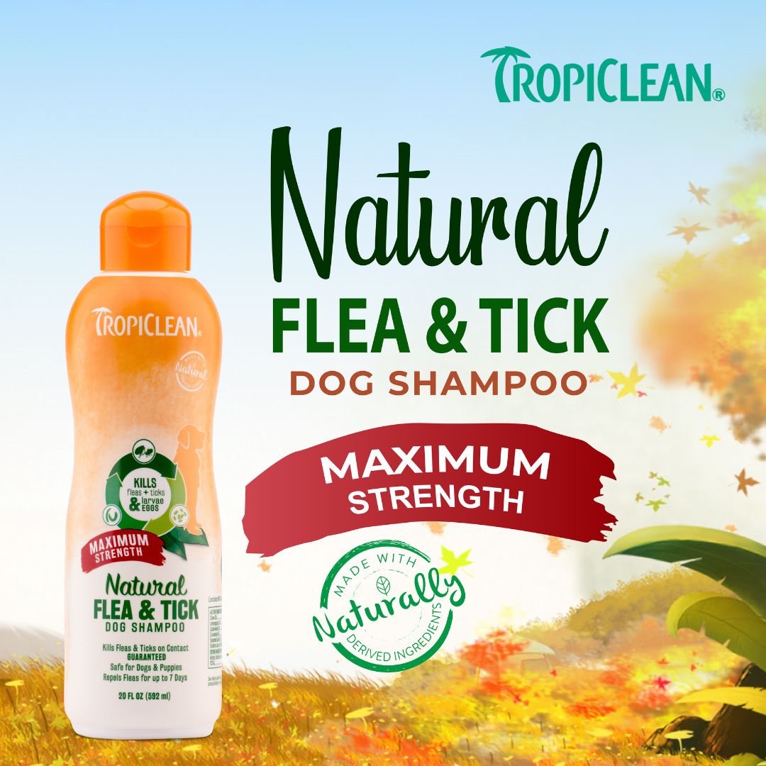 Tropiclean Natural Flea & Tick Maximum Strength Pet Shampoo