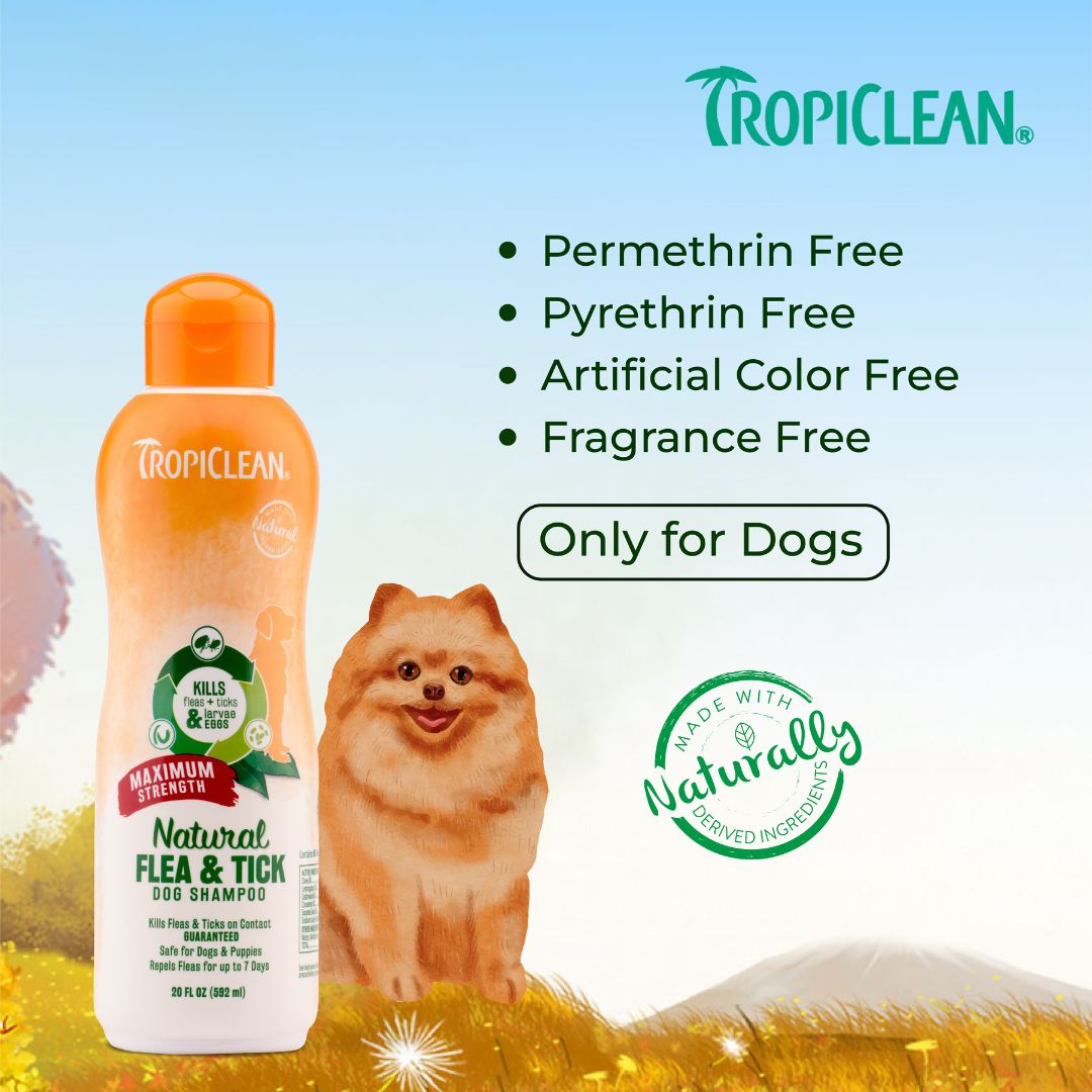 Tropiclean Natural Flea & Tick Maximum Strength Pet Shampoo