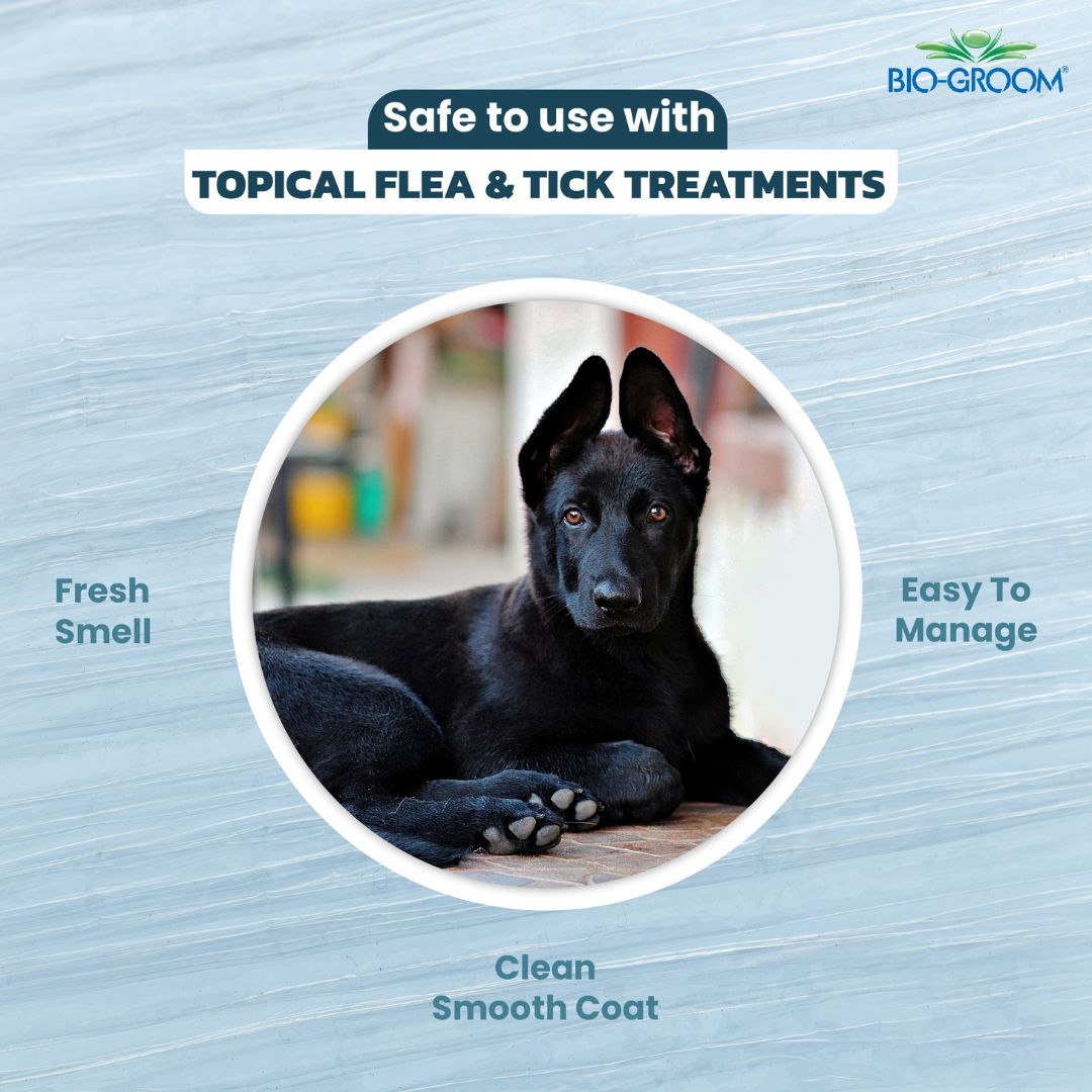 bio groom, bio groom shampoo reviews, bio groom reviews, bio groom conditioner, bio groom cologne,bio-groom desert agave, bio-groom so stinky, bio groom waterless shampoo, bio groom econo groom , bio groom shampoo, bio groom shampoo, bio groom conditioner, biogroom desert agave, biogroom desert agave cologne, bio groom waterless shampoo, bio groom ear powder, bio groom ear cleaner, biogroom desert agave scent