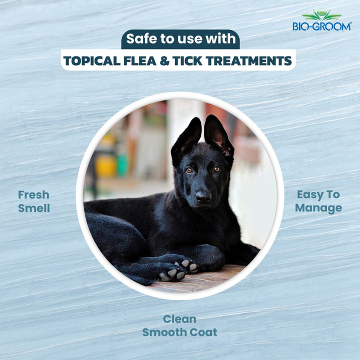 bio groom, bio groom shampoo reviews, bio groom reviews, bio groom conditioner, bio groom cologne,bio-groom desert agave, bio-groom so stinky, bio groom waterless shampoo, bio groom econo groom , bio groom shampoo, bio groom shampoo, bio groom conditioner, biogroom desert agave, biogroom desert agave cologne, bio groom waterless shampoo, bio groom ear powder, bio groom ear cleaner, biogroom desert agave scent