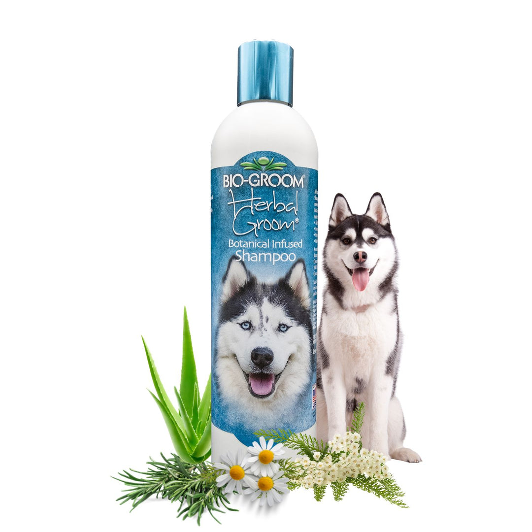 bio groom shampoo, bio groom shampoo cat, bio groom super white shampoo, dog Biogroom shampoo, bio groom dog shampoo, bio groom dog shampoo reviews, bio groom waterless dog shampoo, bio groom super white dog shampoo, bio groom super whitening dog shampoo, bio groom ultra black dog shampoo, bio groom flea & tick dog shampoo, bio-groom natural oatmeal dog shampoo, bio groom oatmeal dog shampoo