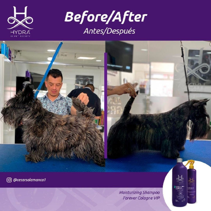 dog shampoo kit, dog shampoo ketochlor, pet shampoo medicated, dog shampoo oatmeal, dog shampoo yeast infection, 6 shampoo, shampoo 7, dog shampoo diy, dog shampoo green bottle, dog shampoo glove, dog shampoo odor control, dog shampoo oat, pet shine shampoo uses, pet shampoo manufacturers, dog shampoo 1 gallon, pet one shampoo, dog shampoo 2 in 1, pet 79, pet shop 8, pet shampoo antifungal, pet shampoo cleaner, dog shampoo coconut, pet shampoo formulation pdf, pet shampoo for dry skin, dog shampoo gun, pet