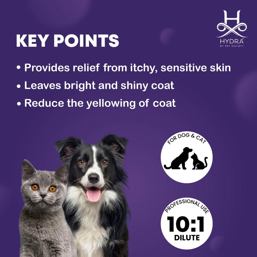 hydra mount ar15, hydra mount mcx, shampoo hydra pet 5l, hydra mount kaufen, hydra pet 5 litros, hydra mount mk18, shampoo hydra pet extra soft, hydra mount kit aimpoint, hydra animal pic, hydra mount zero, hydra peter, hydra shampoo pet kit, jaleco hydra pet society, hydra pet society 5l, hydra extreme dog shampoo, hydra pet 500ml, hydra animal description, shampoo hydra pet pelos escuros, hydra animal discovery, hydra shampoo neutro pet society, hydra dog grooming spray, hydra pet adopt me value, hydra an