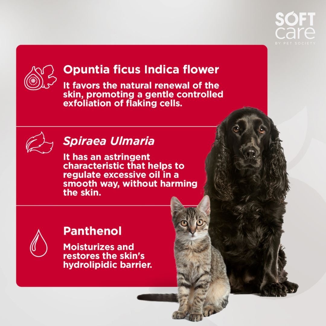 frizz control shampoo, curl enhancing shampoo, texturizing shampoo, baby shampoo, kids shampoo, pet shampoo, flea shampoo, whitening shampoo, brightening shampoo, odor eliminating shampoo, waterless shampoo, dry shampoo, shampoo bar, pet shampoo, dog shampoo, cat shampoo, small animal shampoo, bird shampoo, best pet shampoo, top pet shampoo, buy pet shampoo, pet shampoo online, pet shampoo for sale, natural pet shampoo, organic pet shampoo, hypoallergenic pet shampoo, flea and tick shampoo for pets, medicat