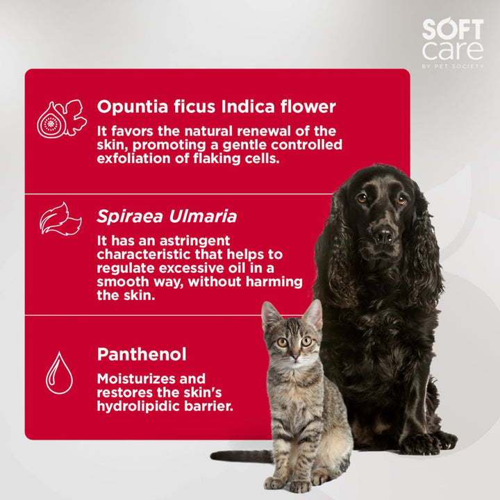 frizz control shampoo, curl enhancing shampoo, texturizing shampoo, baby shampoo, kids shampoo, pet shampoo, flea shampoo, whitening shampoo, brightening shampoo, odor eliminating shampoo, waterless shampoo, dry shampoo, shampoo bar, pet shampoo, dog shampoo, cat shampoo, small animal shampoo, bird shampoo, best pet shampoo, top pet shampoo, buy pet shampoo, pet shampoo online, pet shampoo for sale, natural pet shampoo, organic pet shampoo, hypoallergenic pet shampoo, flea and tick shampoo for pets, medicat