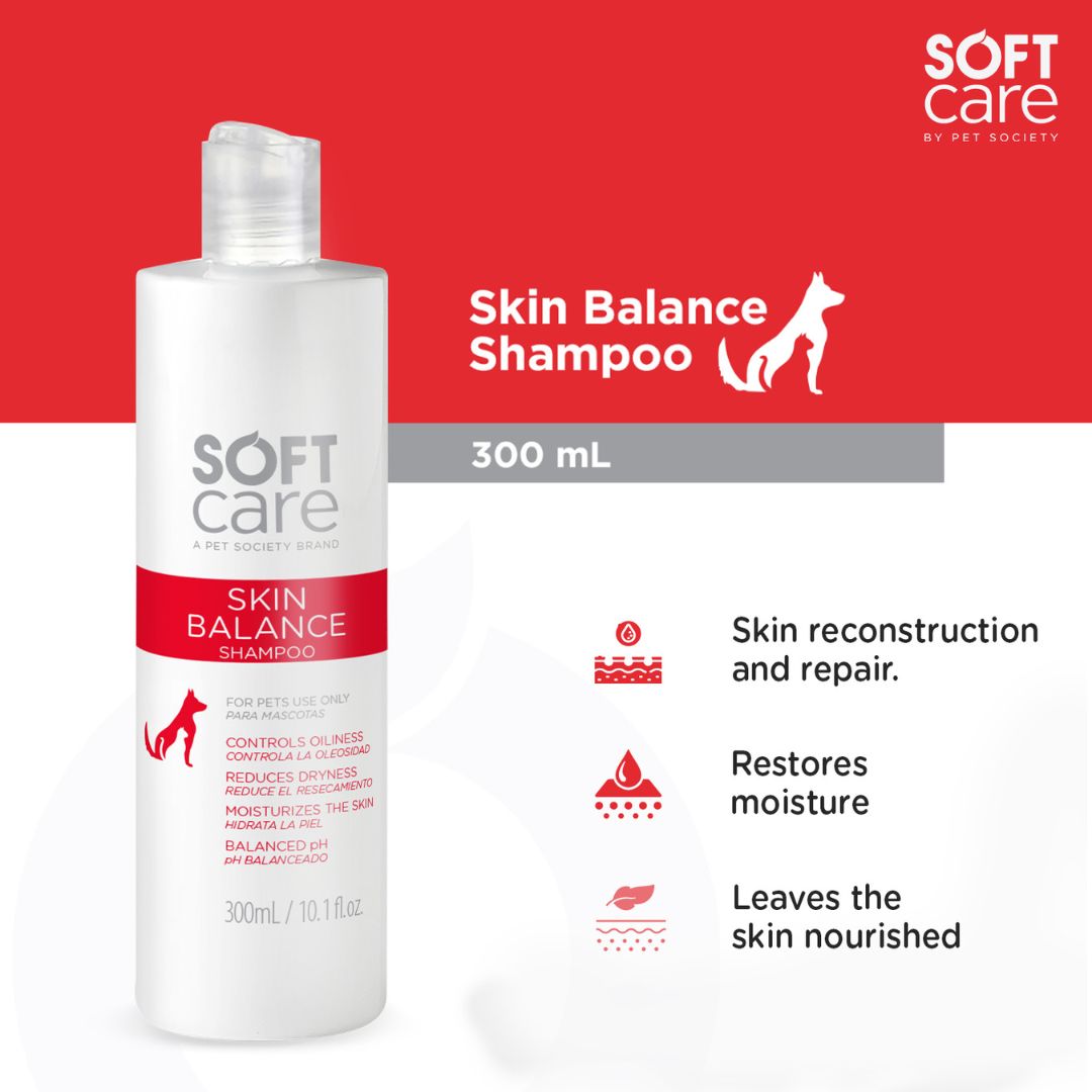 vet recommended pet shampoo, grooming shampoo for pets, professional pet shampoo, cheap pet shampoo, discount pet shampoo, scented pet shampoo, unscented pet shampoo, pet bath products, pet grooming supplies, animal shampoo, canine shampoo, feline shampoo, small animal grooming, bird bath cleaner, Shampoo, hair shampoo, best shampoo, top shampoo, buy shampoo, shampoo online, shampoo for sale, natural shampoo, organic shampoo, sulfate-free shampoo, moisturizing shampoo, clarifying shampoo, volumizing shampoo