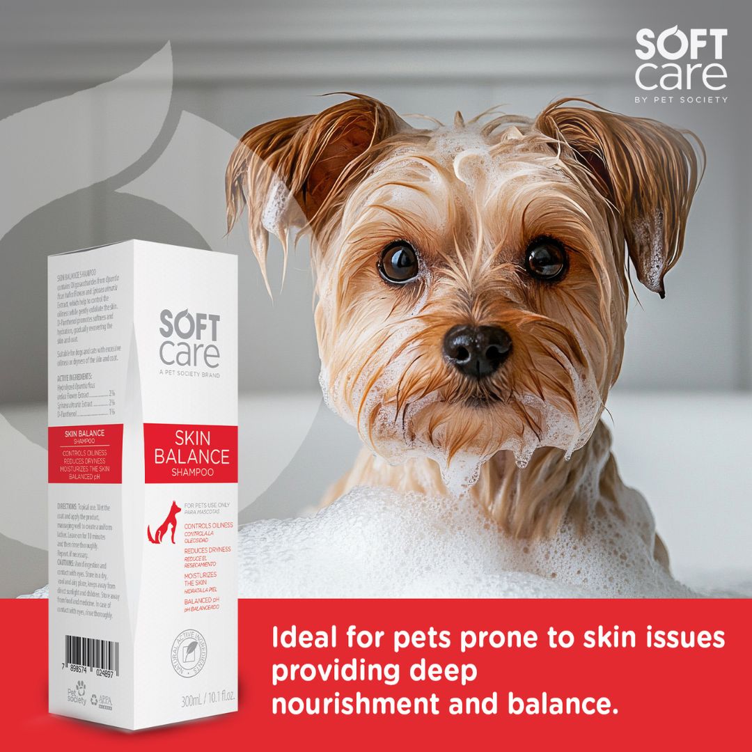 vet recommended pet shampoo, grooming shampoo for pets, professional pet shampoo, cheap pet shampoo, discount pet shampoo, scented pet shampoo, unscented pet shampoo, pet bath products, pet grooming supplies, animal shampoo, canine shampoo, feline shampoo, small animal grooming, bird bath cleaner, Shampoo, hair shampoo, best shampoo, top shampoo, buy shampoo, shampoo online, shampoo for sale, natural shampoo, organic shampoo, sulfate-free shampoo, moisturizing shampoo, clarifying shampoo, volumizing shampoo