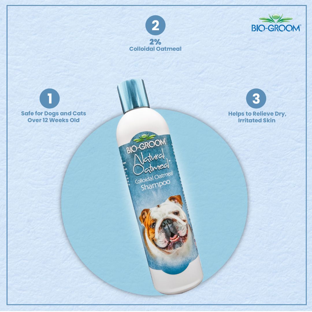 bio groom shampoo for shih tzu, bio groom shampoo and conditioner, bio groom shampoo nearby, bio groom shampoo amazon, bio groom shampoo puppies, bio groom shampoo black, biogroom pets, bio groom pet shampoo, bio groom shampoo, bio groom cat shampoo, bio groom waterless dog shampoo, bio groom conditioner, bio groom pet shampoo, bio groom dog shampoo reviews