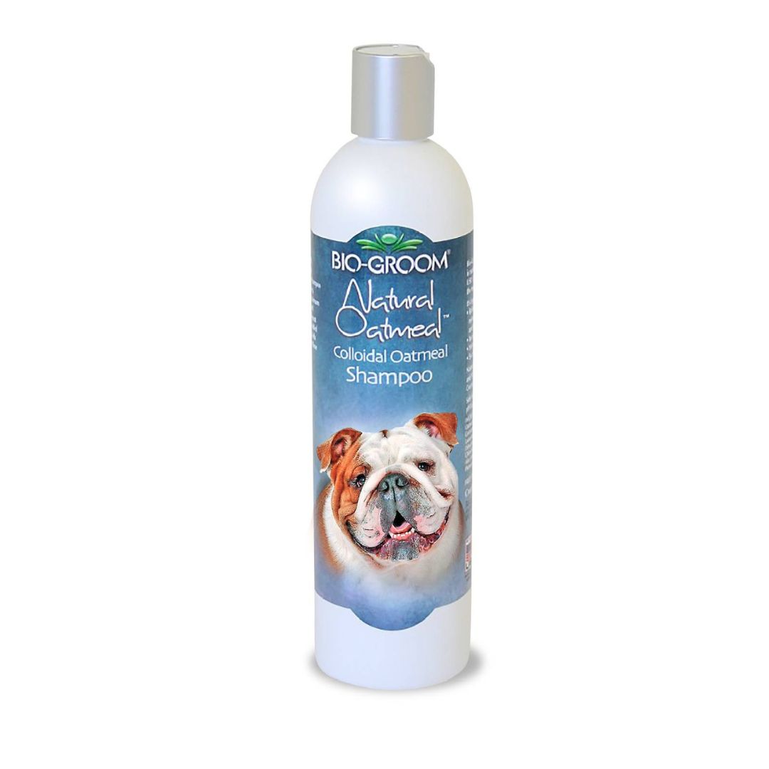 bio groom super white shampoo, bio groom cat shampoo, pet Biogroom shampoo, bio groom pet shampoo, bio groom super white pet shampoo, what shampoo does petco use for grooming, what shampoo does petsmart use for grooming, bio groom shampoo, bio groom shampoo cat, bio groom super white shampoo, dog Biogroom shampoo, bio groom dog shampoo, bio groom dog shampoo reviews, bio groom waterless dog shampoo, bio groom super white dog shampoo, bio groom super whitening dog shampoo