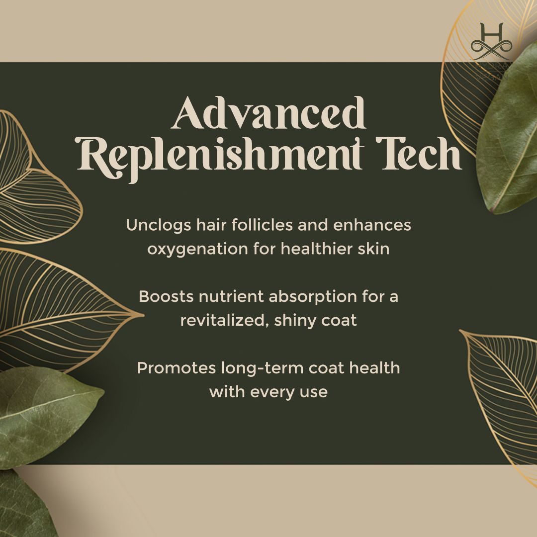 Conditioner, hair conditioner, best conditioner, top conditioner, buy conditioner, conditioner online, conditioner for sale, natural conditioner, organic conditioner, sulfate-free conditioner, moisturizing conditioner, detangling conditioner, volumizing conditioner, strengthening conditioner, color-safe conditioner, conditioner for oily hair, conditioner for dry hair, conditioner for fine hair, conditioner for thick hair, conditioner for damaged hair, anti-dandruff conditioner, itchy scalp conditioner