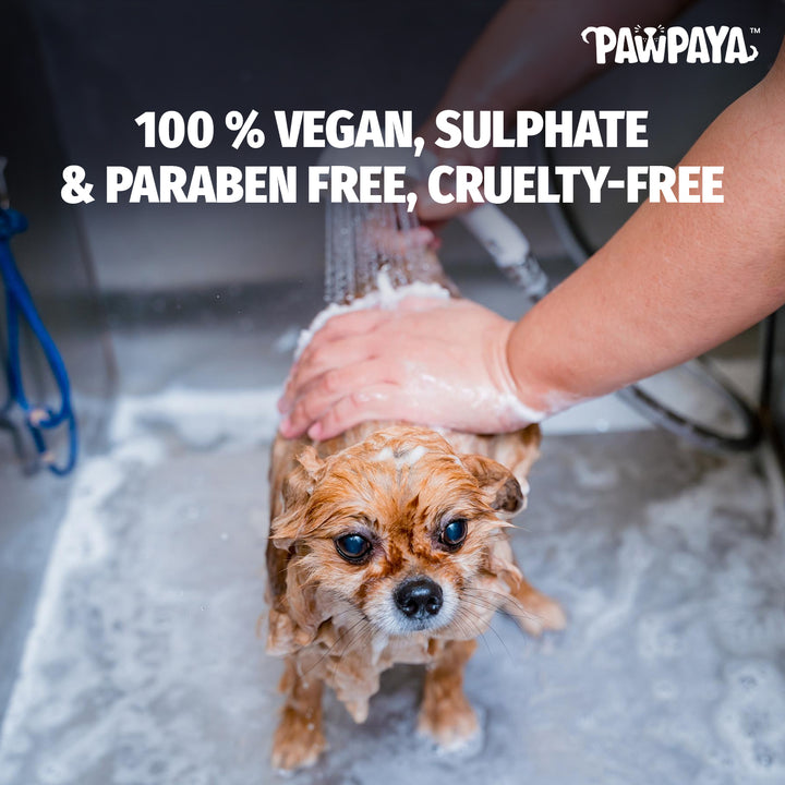 grooming shampoo for pets, professional pet shampoo, cheap pet shampoo, discount pet shampoo, scented pet shampoo, unscented pet shampoo, pet bath products, pet grooming supplies, animal shampoo, canine shampoo, feline shampoo, small animal grooming, bird bath cleaner, top shampoo, buy shampoo, shampoo online, shampoo for sale, natural shampoo, organic shampoo, sulfate-free shampoo, moisturizing shampoo, clarifying shampoo, volumizing shampoo, strengthening shampoo, color-safe shampoo, shampoo for oily hair