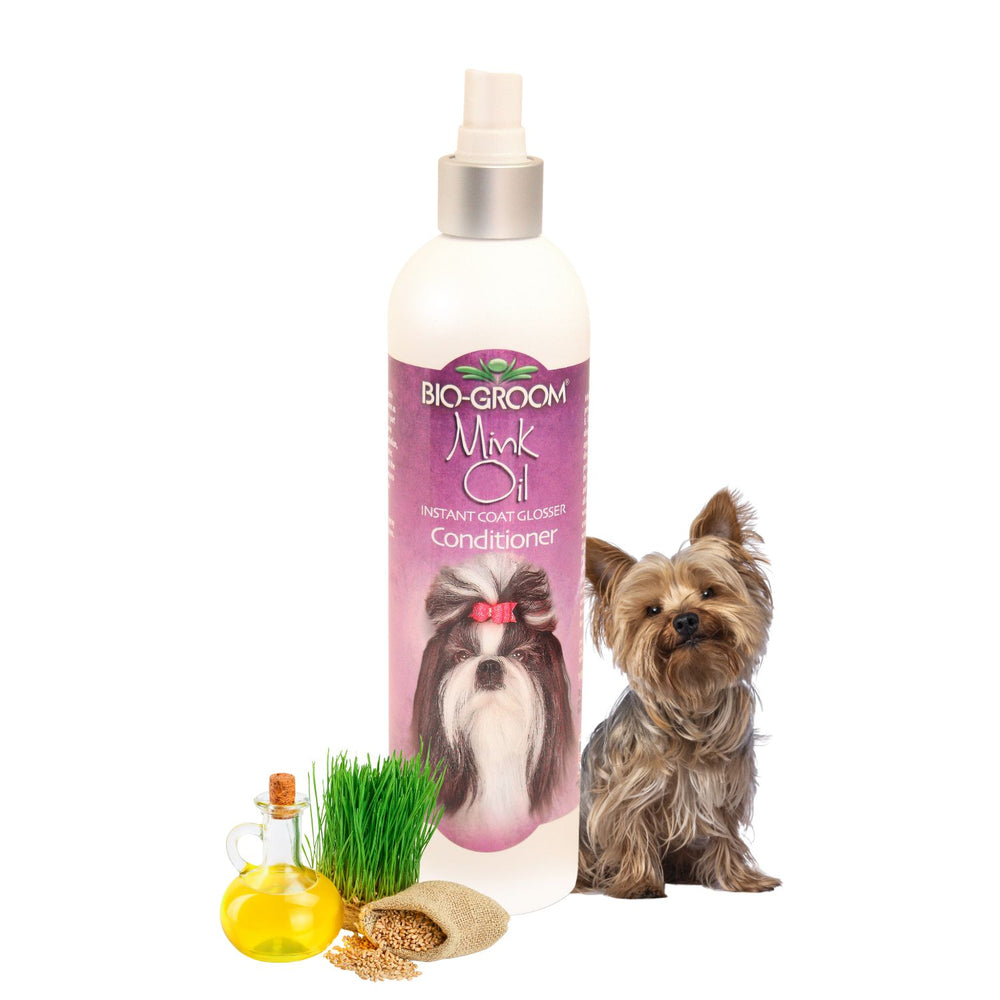 Conditioner, hair conditioner, best conditioner, top conditioner, buy conditioner, conditioner online, conditioner for sale, natural conditioner, organic conditioner, sulfate-free conditioner, moisturizing conditioner, detangling conditioner, volumizing conditioner, strengthening conditioner, color-safe conditioner, conditioner for oily hair, conditioner for dry hair, conditioner for fine hair, conditioner for thick hair, conditioner for damaged hair, anti-dandruff conditioner, itchy scalp conditioner