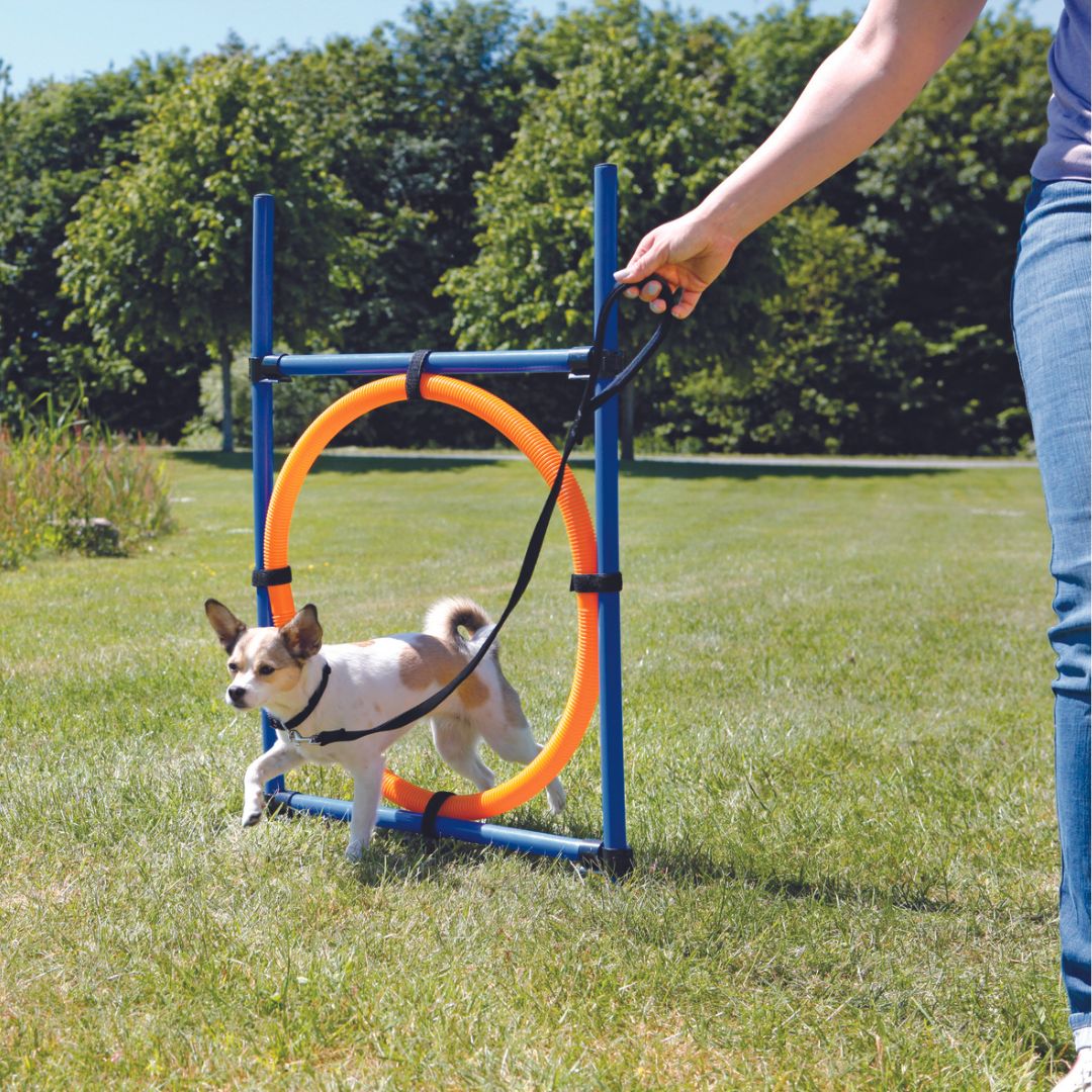A close-up of the adjustable height mechanism on the Trixie Dog Agility Ring, demonstrating easy customization