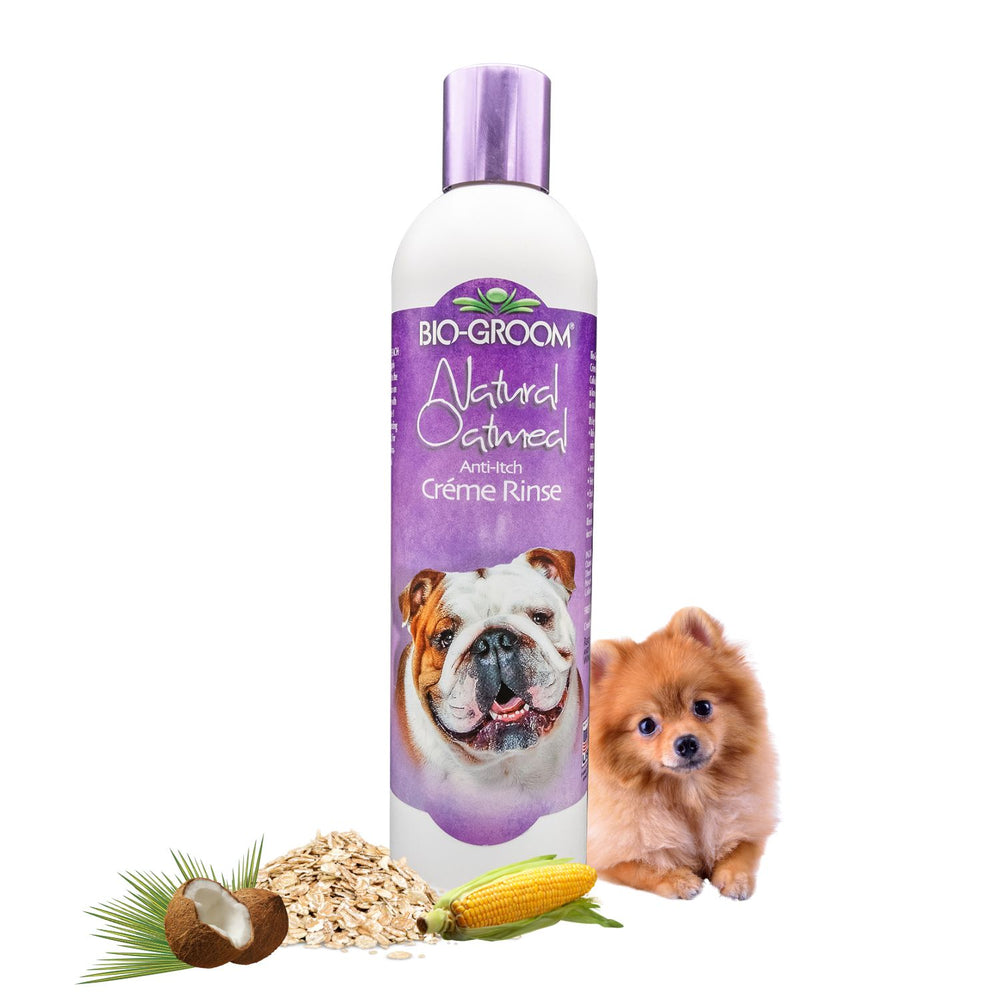 moisturizing conditioner, detangling conditioner, volumizing conditioner, strengthening conditioner, color-safe conditioner, conditioner for oily hair, conditioner for dry hair, conditioner for fine hair, conditioner for thick hair, conditioner for damaged hair, anti-dandruff conditioner, itchy scalp conditioner, sensitive scalp conditioner, hypoallergenic conditioner, medicated conditioner, professional conditioner, salon conditioner, cheap conditioner, discount conditioner, gentle conditioner