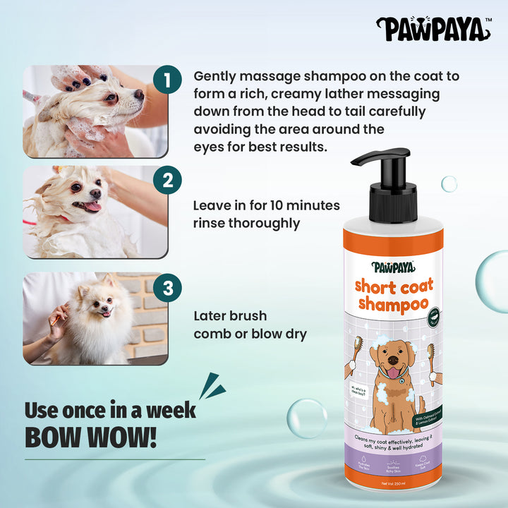 organic pet shampoo, hypoallergenic pet shampoo, flea and tick shampoo for pets, medicated pet shampoo, puppy shampoo, kitten shampoo, sensitive skin pet shampoo, deodorizing pet shampoo, moisturizing pet shampoo, whitening pet shampoo for pets, brightening pet shampoo, oatmeal pet shampoo, tear-free pet shampoo, waterless pet shampoo for pets, dry pet shampoo, long hair pet shampoo, short hair pet shampoo, thick coat pet shampoo, thin coat pet shampoo, shedding control pet shampoo, anti-itch pet shampoo
