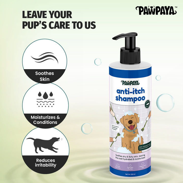 short hair pet shampoo, thick coat pet shampoo, thin coat pet shampoo, shedding control pet shampoo, anti-itch pet shampoo, hot spot shampoo for pets, conditioning pet shampoo, gentle pet shampoo, vet recommended pet shampoo, grooming shampoo for pets, professional pet shampoo, cheap pet shampoo, discount pet shampoo, scented pet shampoo, unscented pet shampoo, pet bath products, pet grooming supplies, animal shampoo, canine shampoo, feline shampoo, small animal grooming, bird bath cleaner