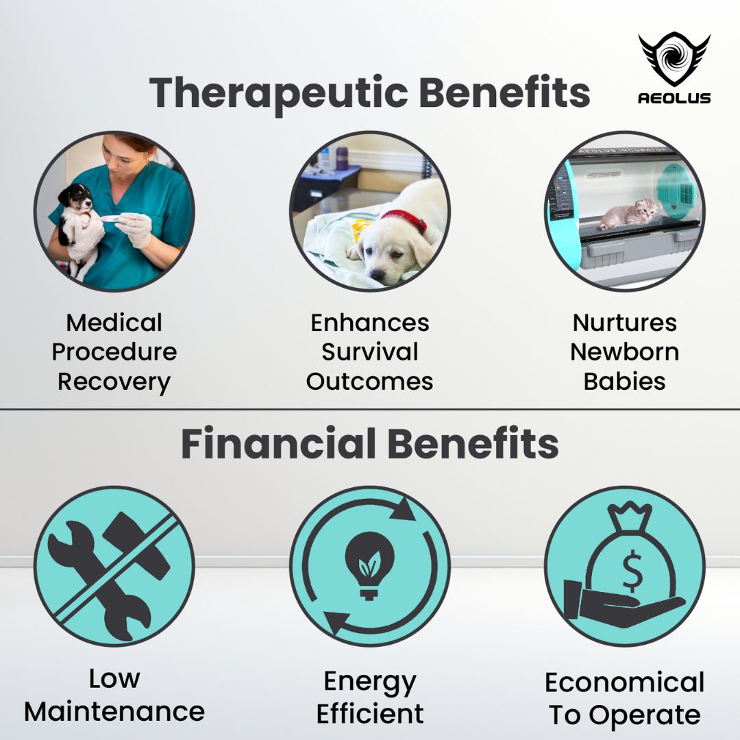 cat incubator, puppy incubator, kitten incubator, bird incubator, reptile incubator, small animal incubator, pet intensive care unit, pet ICU, neonatal pet incubator, pet oxygen therapy incubator, pet humidity controlled incubator, pet temperature controlled incubator, pet incubator for home use, pet incubator for veterinary clinic, pet incubator for breeders, pet incubator for rescues, portable pet incubator, pet incubator, dog incubator