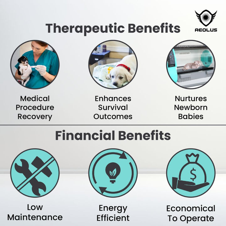 cat incubator, puppy incubator, kitten incubator, bird incubator, reptile incubator, small animal incubator, pet intensive care unit, pet ICU, neonatal pet incubator, pet oxygen therapy incubator, pet humidity controlled incubator, pet temperature controlled incubator, pet incubator for home use, pet incubator for veterinary clinic, pet incubator for breeders, pet incubator for rescues, portable pet incubator, pet incubator, dog incubator