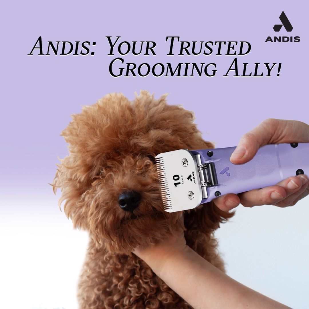 professional pet clippers, grooming clippers for pets, pet clippers for thick fur, Battery-powered pet clippers, cheap pet clippers dog grooming clippers for home use, best clippers for small dogs, electric pet clippers, cat nail clippers and clipper, pet clippers