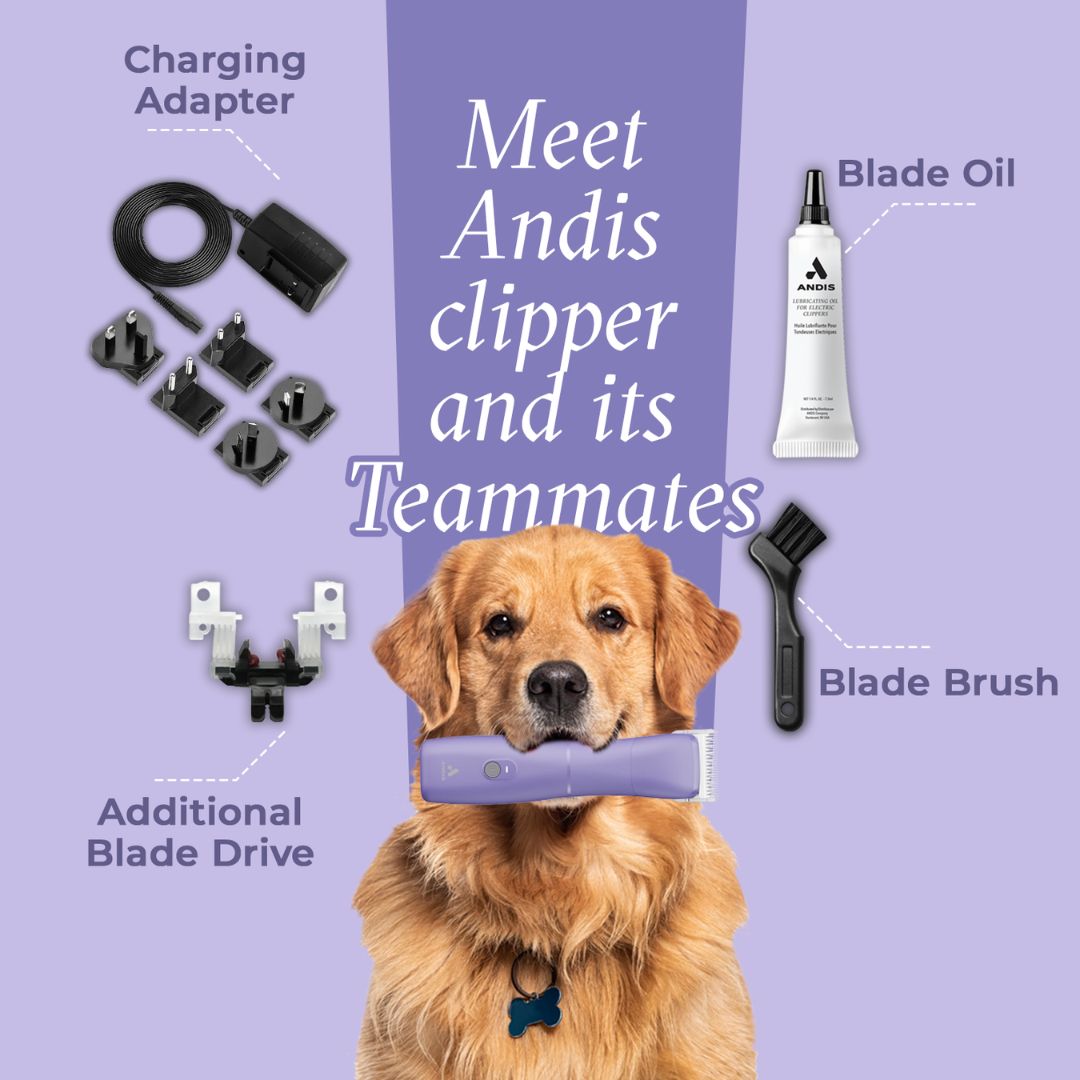 dog clippers, cat clippers, quiet pet clippers, best pet clippers, cordless pet clippers professional pet clippers, grooming clippers for pets, pet clippers for thick fur, Battery-powered pet clippers, cheap pet clippers