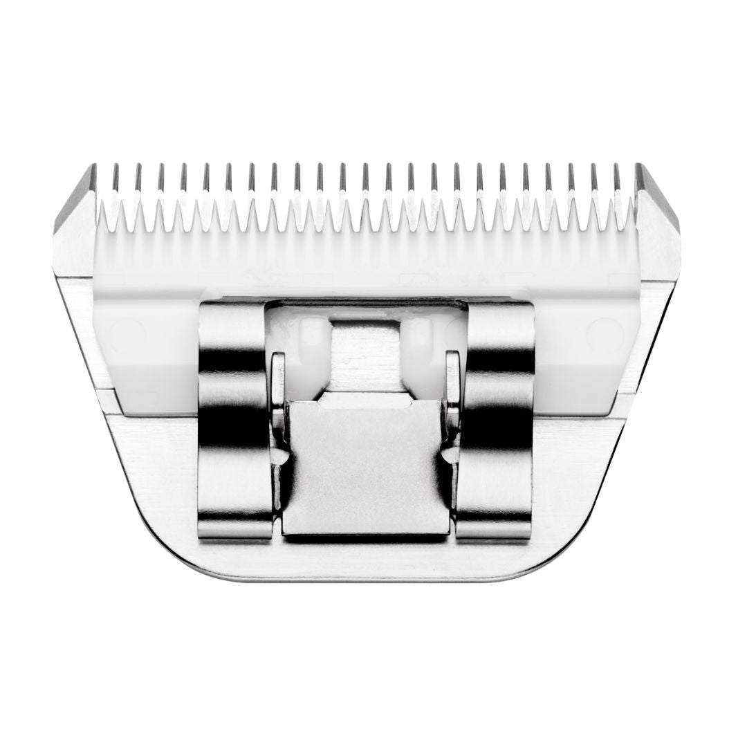 pet clipper blade sharpening services, pet clipper blade sharpening tools, how to sharpen pet clipper blades, best pet clipper blade sharpeners, pet clipper blade size chart, pet clipper blade size guide, pet clipper blade size for dogs, pet clipper blade size for cats, pet clipper blade size for puppies, pet clipper blade size for kittens, pet clipper blade size for long hair, pet clipper blade size for short hair, stainless steel pet clipper blades, ceramic pet clipper blades, titanium pet clipper blades