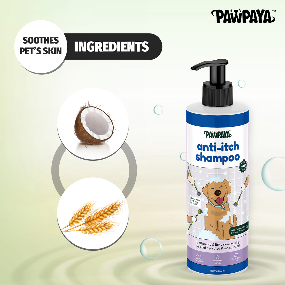 pet shampoo online, pet shampoo for sale, natural pet shampoo, organic pet shampoo, hypoallergenic pet shampoo, flea and tick shampoo for pets, medicated pet shampoo, puppy shampoo, kitten shampoo, sensitive skin pet shampoo, deodorizing pet shampoo, moisturizing pet shampoo, whitening pet shampoo for pets, brightening pet shampoo, oatmeal pet shampoo, tear-free pet shampoo, waterless pet shampoo for pets, dry pet shampoo, long hair pet shampoo