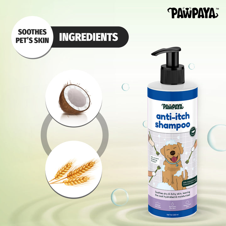 pet shampoo online, pet shampoo for sale, natural pet shampoo, organic pet shampoo, hypoallergenic pet shampoo, flea and tick shampoo for pets, medicated pet shampoo, puppy shampoo, kitten shampoo, sensitive skin pet shampoo, deodorizing pet shampoo, moisturizing pet shampoo, whitening pet shampoo for pets, brightening pet shampoo, oatmeal pet shampoo, tear-free pet shampoo, waterless pet shampoo for pets, dry pet shampoo, long hair pet shampoo