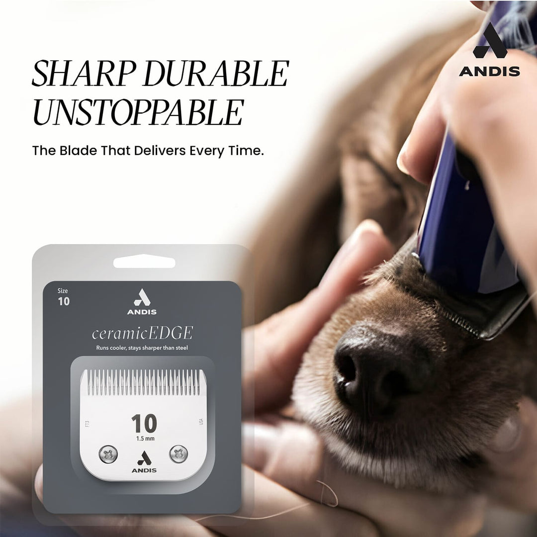 pet grooming clipper blade for smooth trimming, cat grooming blade, pet blade for sensitive skin, dog clipper blade set, high-performance clipper blade, best grooming blades for pets, dog grooming kit with clipper blades, precise cutting pet clipper, grooming blade for fast trims, premium stainless steel blade for pets, clipper blade for medium coat dogs, heavy-duty pet clipper, carbon steel blades for dog clippers, dog clipper blade chart by number, dog clipper blade oiling guide, dog clipper blade size ch